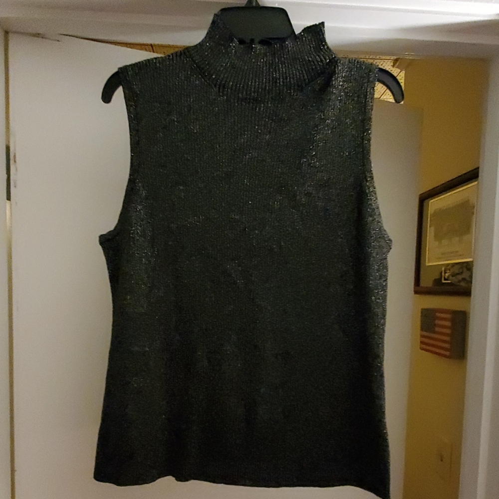 Turtleneck Dressy Sweater
